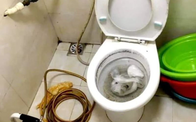 thông cống nghẹt phường thị nại